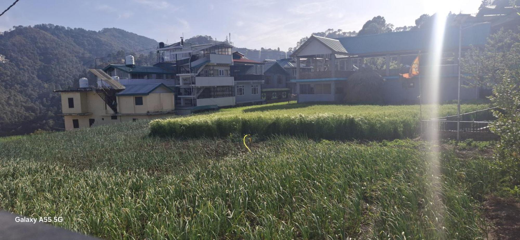 Keshav Niwas Homestay Shimla Buitenkant foto